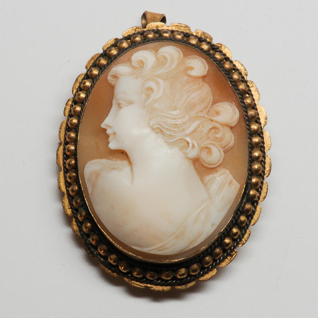Old High Domed Shell Cameo Pin