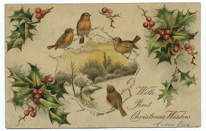 Vintage Christmas Postcard with Robins