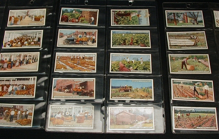John Player  From Plantation to Smoker Cigarette Cards