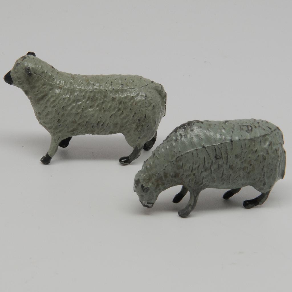 Two Britains Lead Sheep