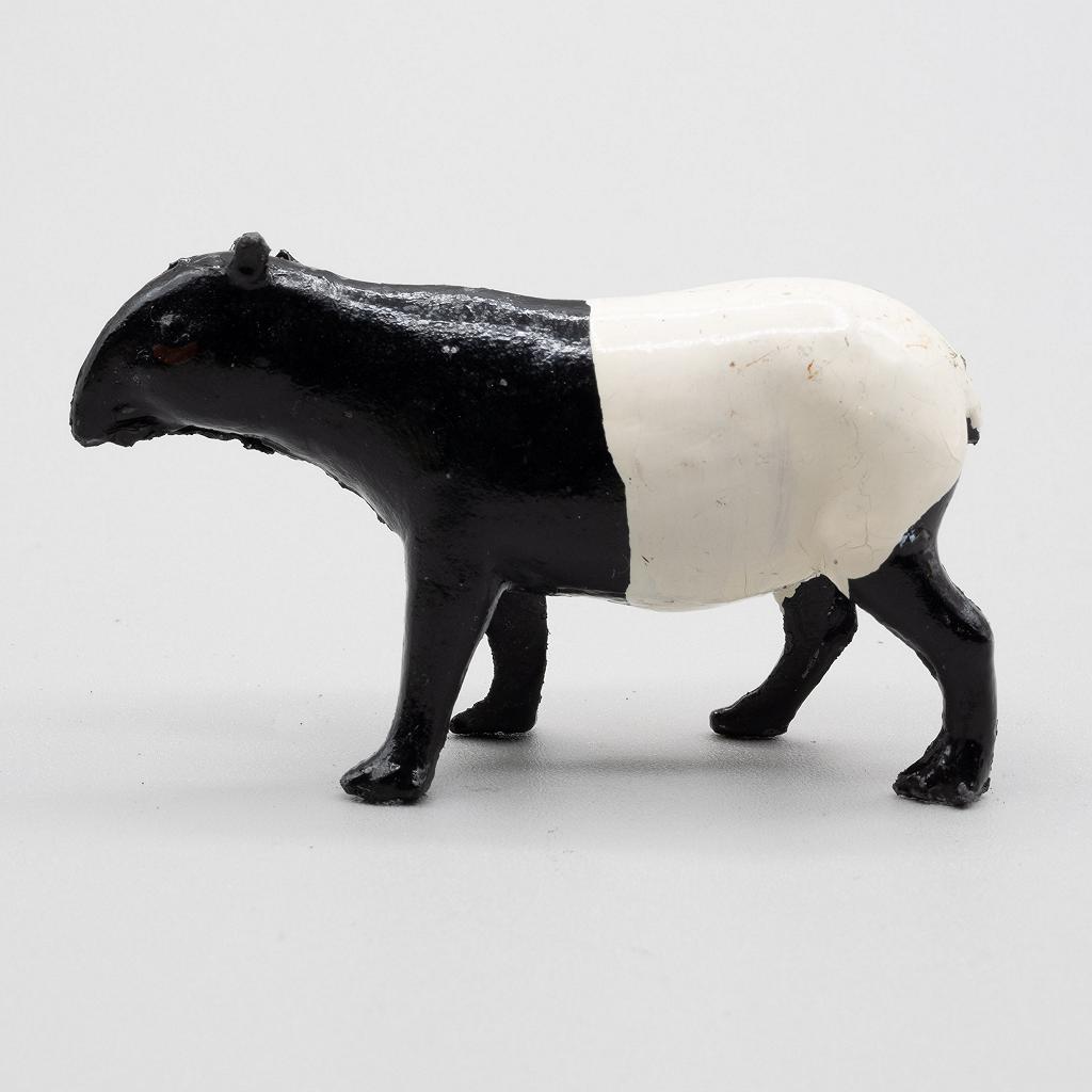 Britains Mayal Tapir