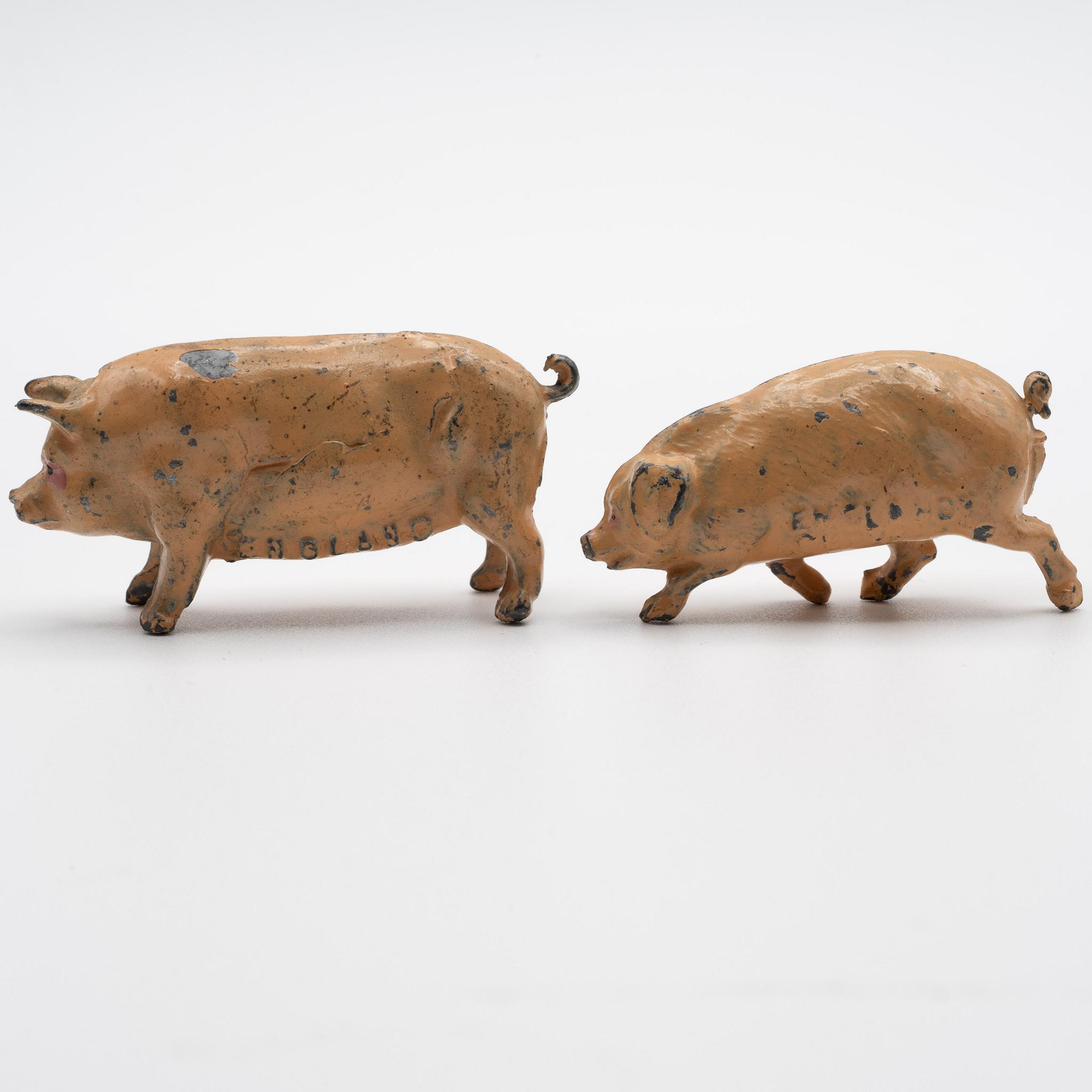 Two+Johillco+Pigs picture 2