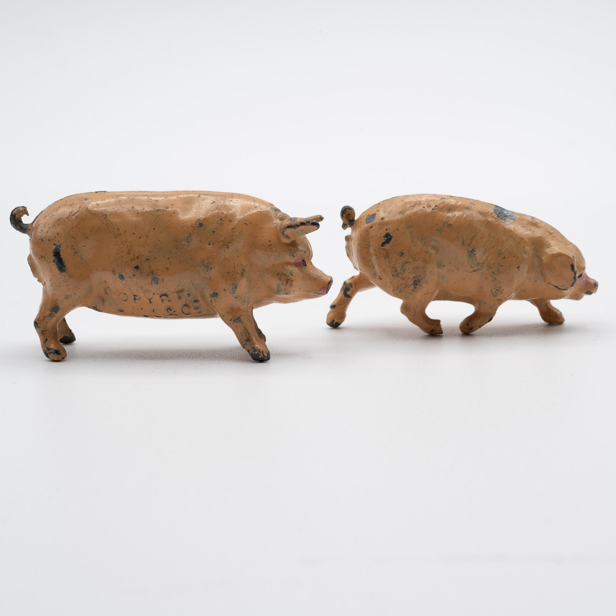 Two+Johillco+Pigs picture 3