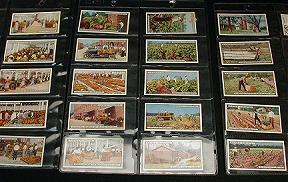 John Player  From Plantation to Smoker Cigarette Cards